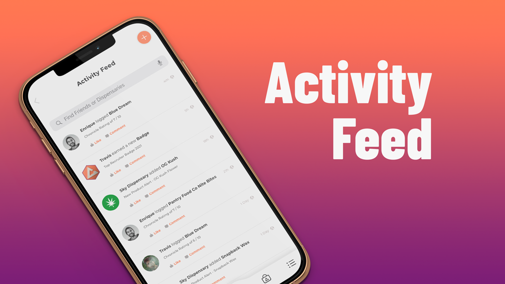 Chronicle gallery image