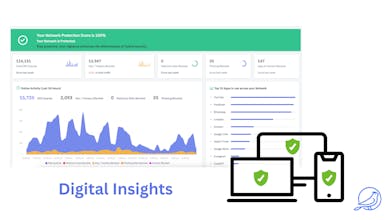 Cybird gallery image