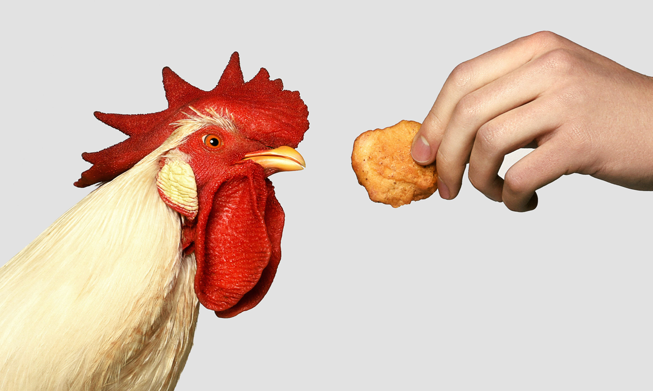 NUGGS Image