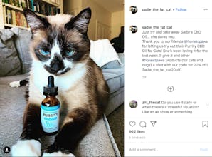 Influence Hunter gallery image