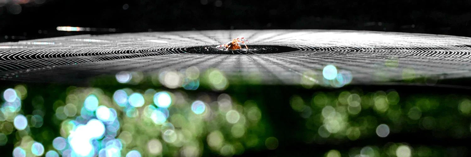 stooni, webstooni cover