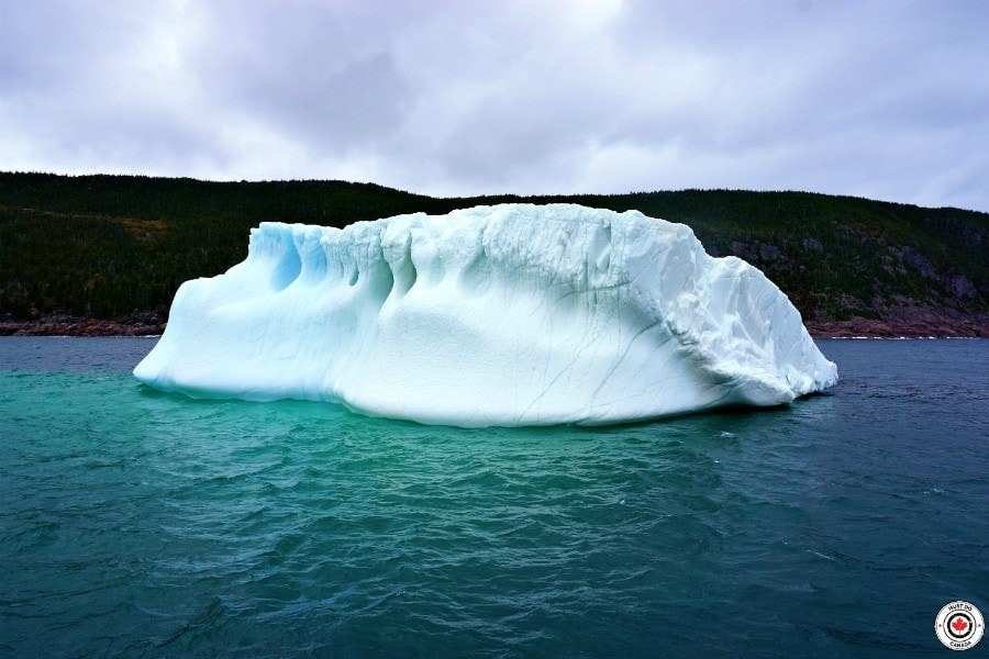 Canada Saver Card gallery image