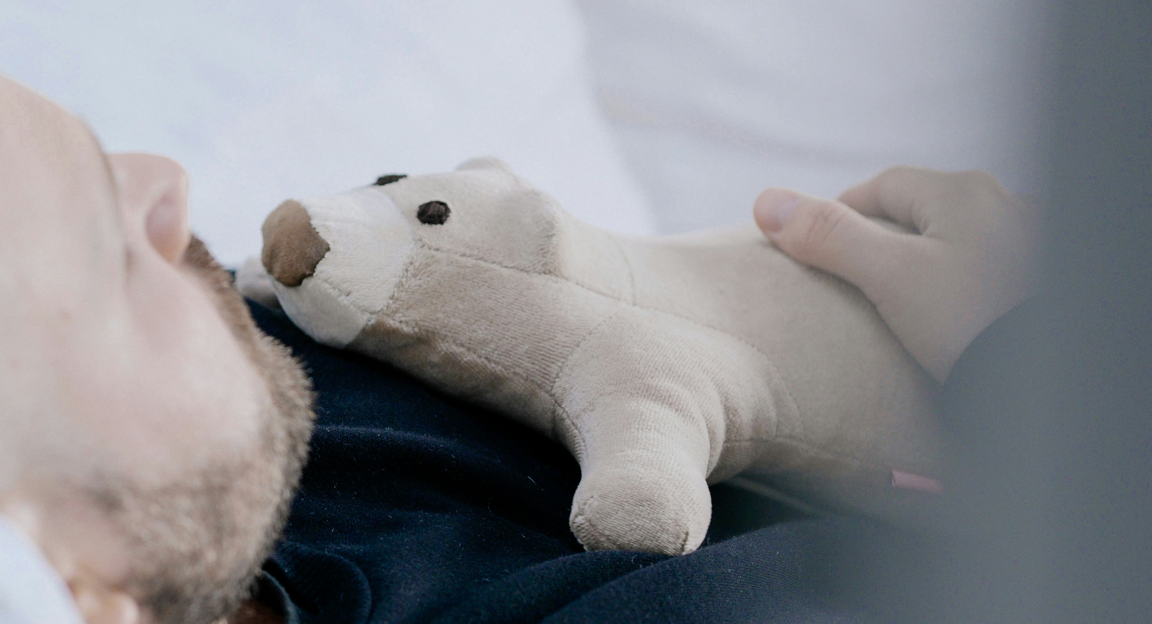 iXu Bear to mirror touch over distance gallery image