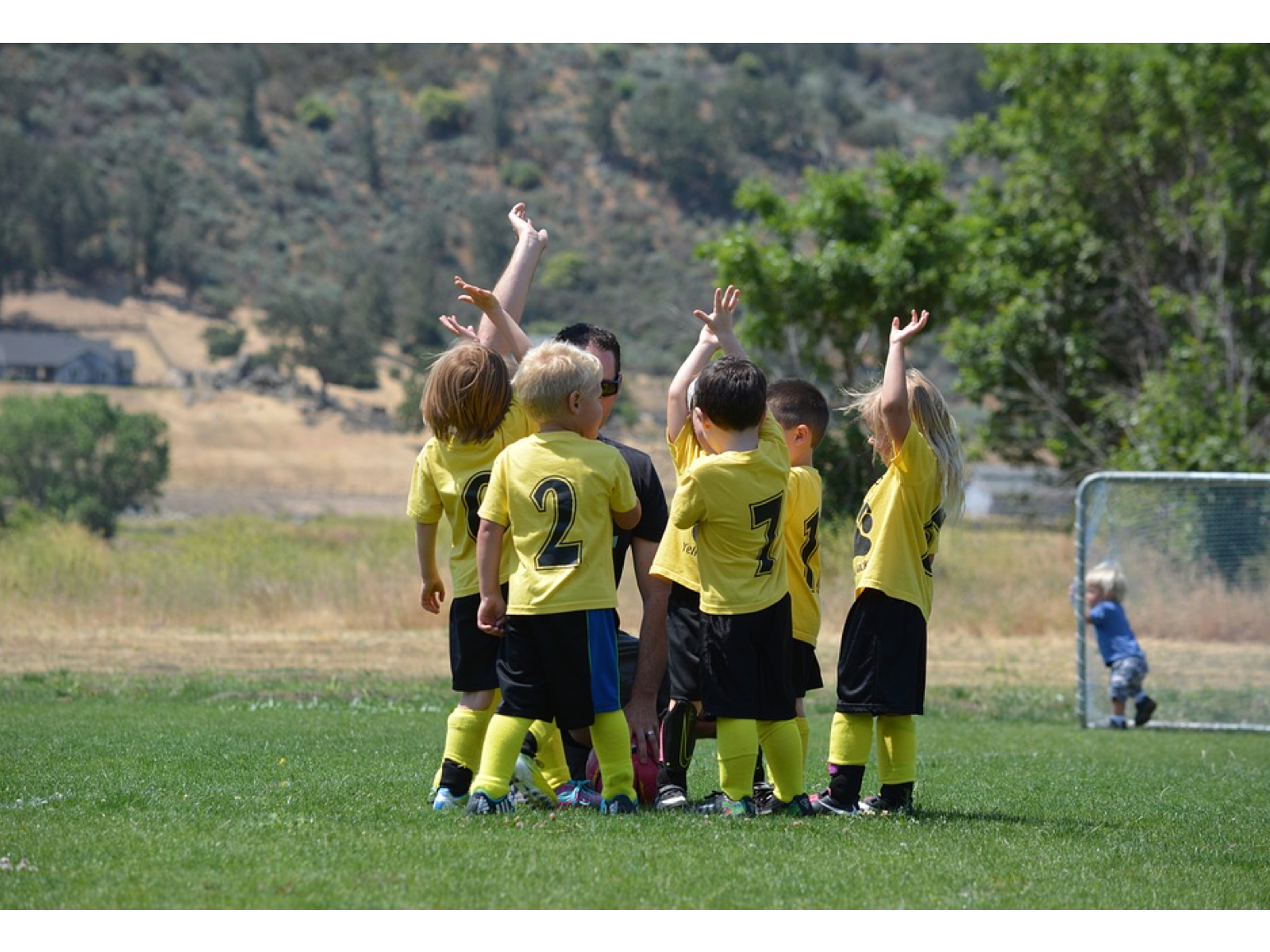 Loyaltyplex gallery image