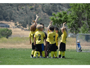 Loyaltyplex gallery image