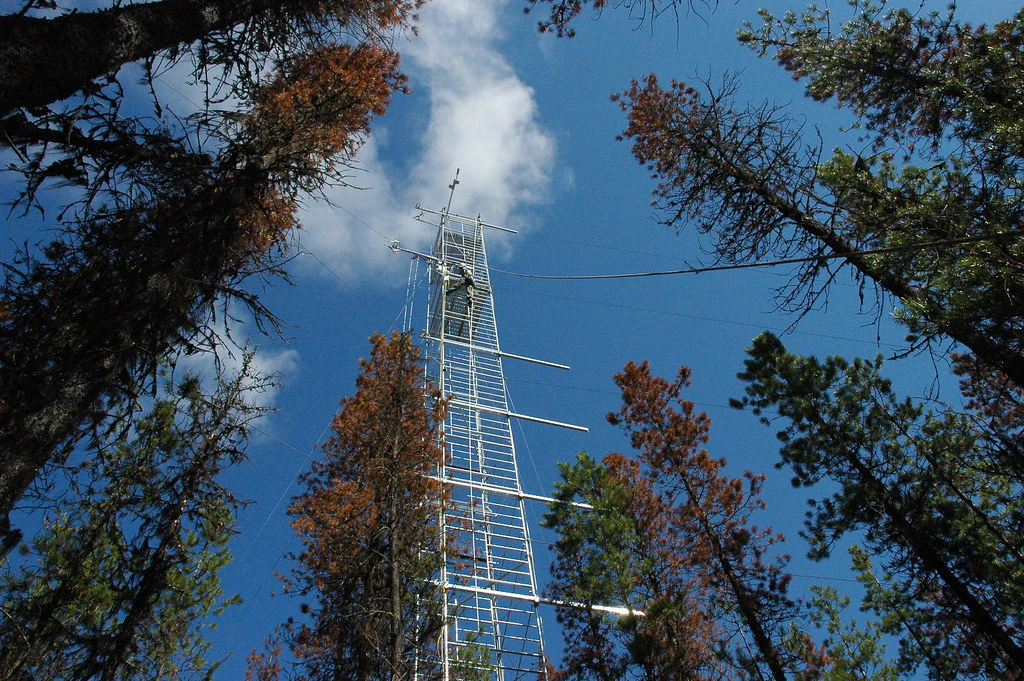 Hyphen Global screenshot 5