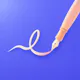 Pen Friend
