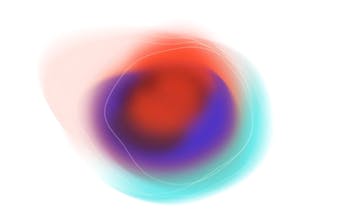 Neotype gallery image