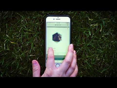 Litpen gallery image