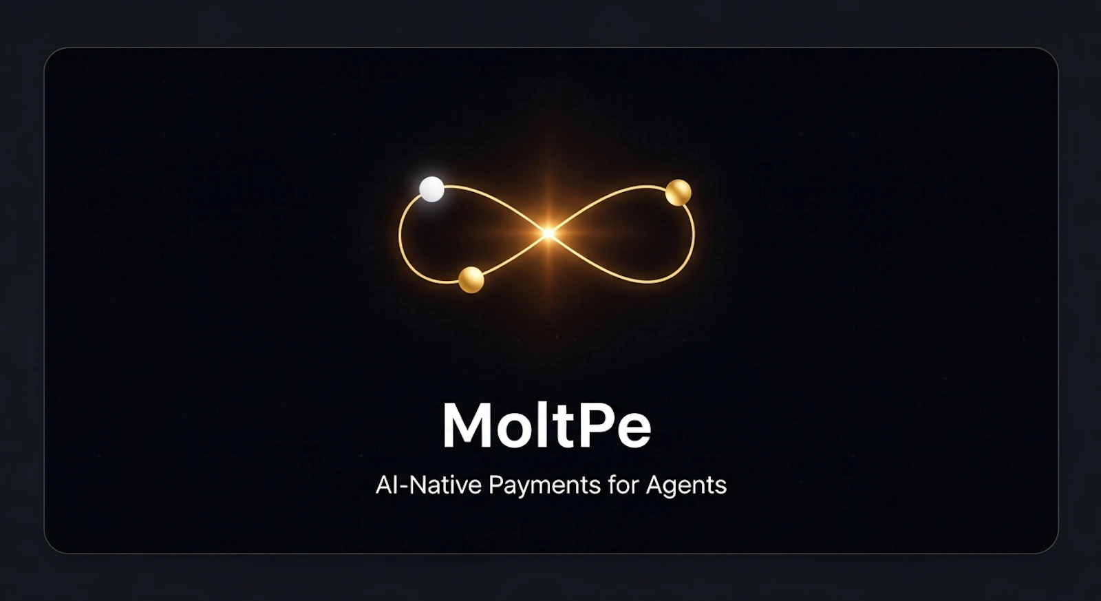 MoltPe screenshot 2
