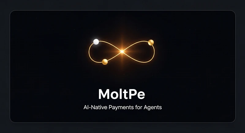 MoltPe screenshot 2