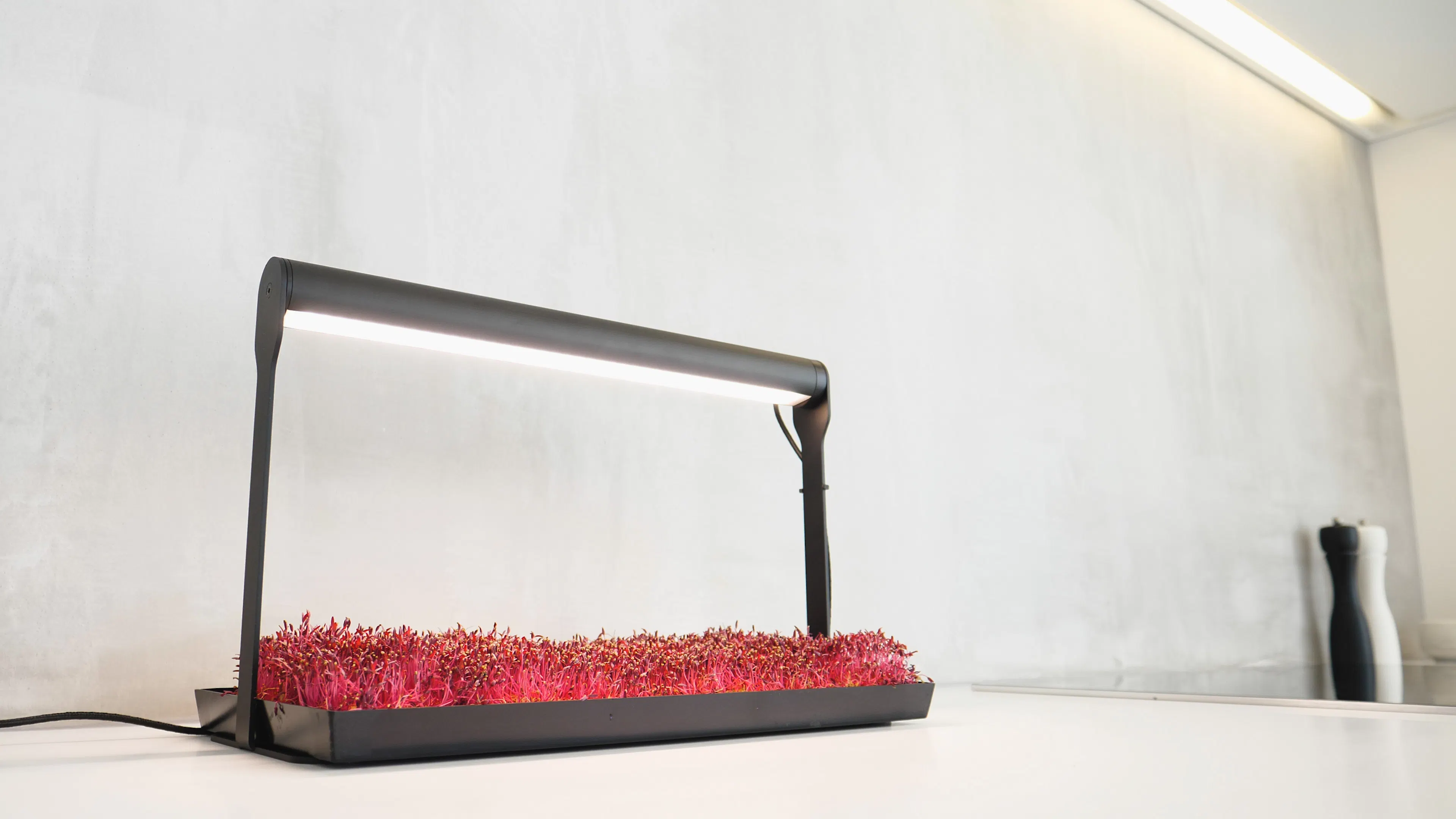 MicroFarm