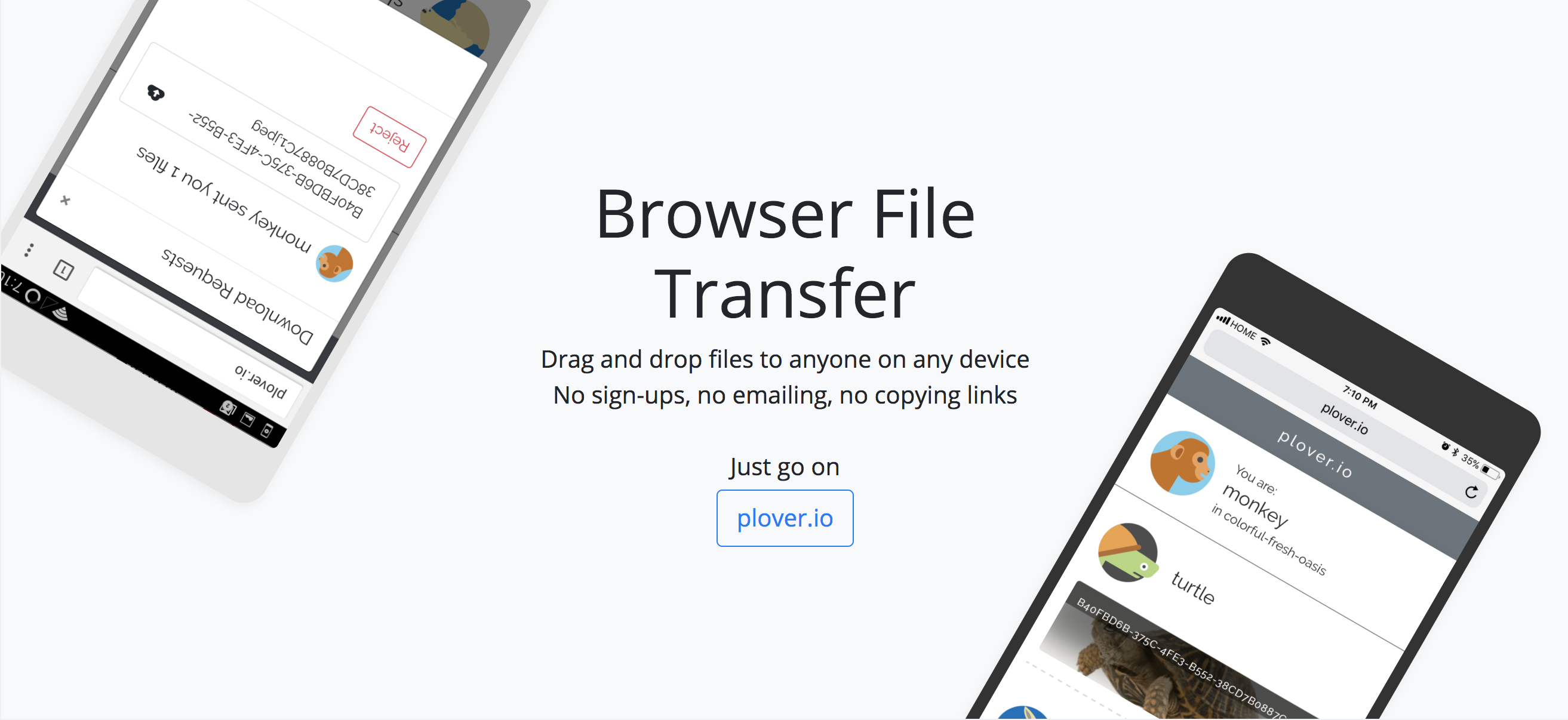 Plover gallery image