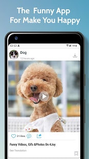 4Funny gallery image