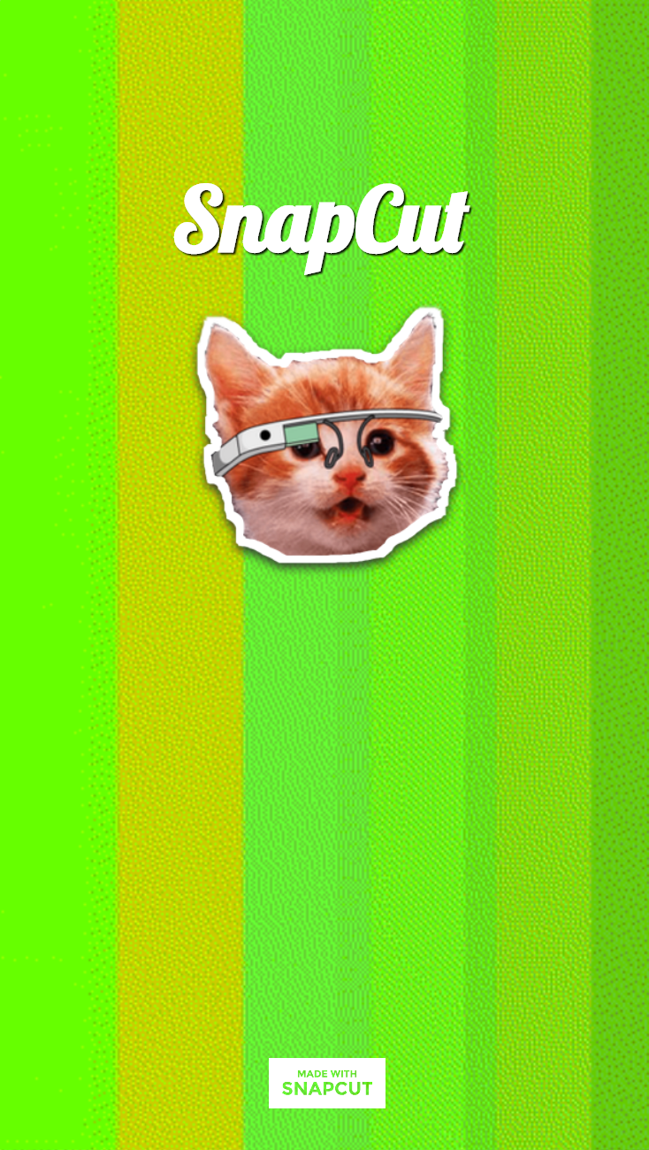 Snapcut — screenshot 3 showing tool features and UI