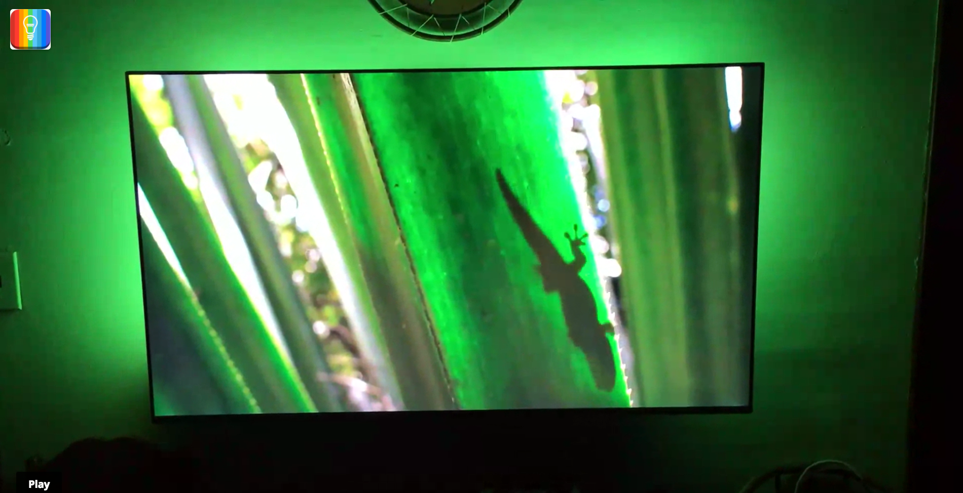 ScreenBloom gallery image