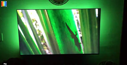 ScreenBloom gallery image