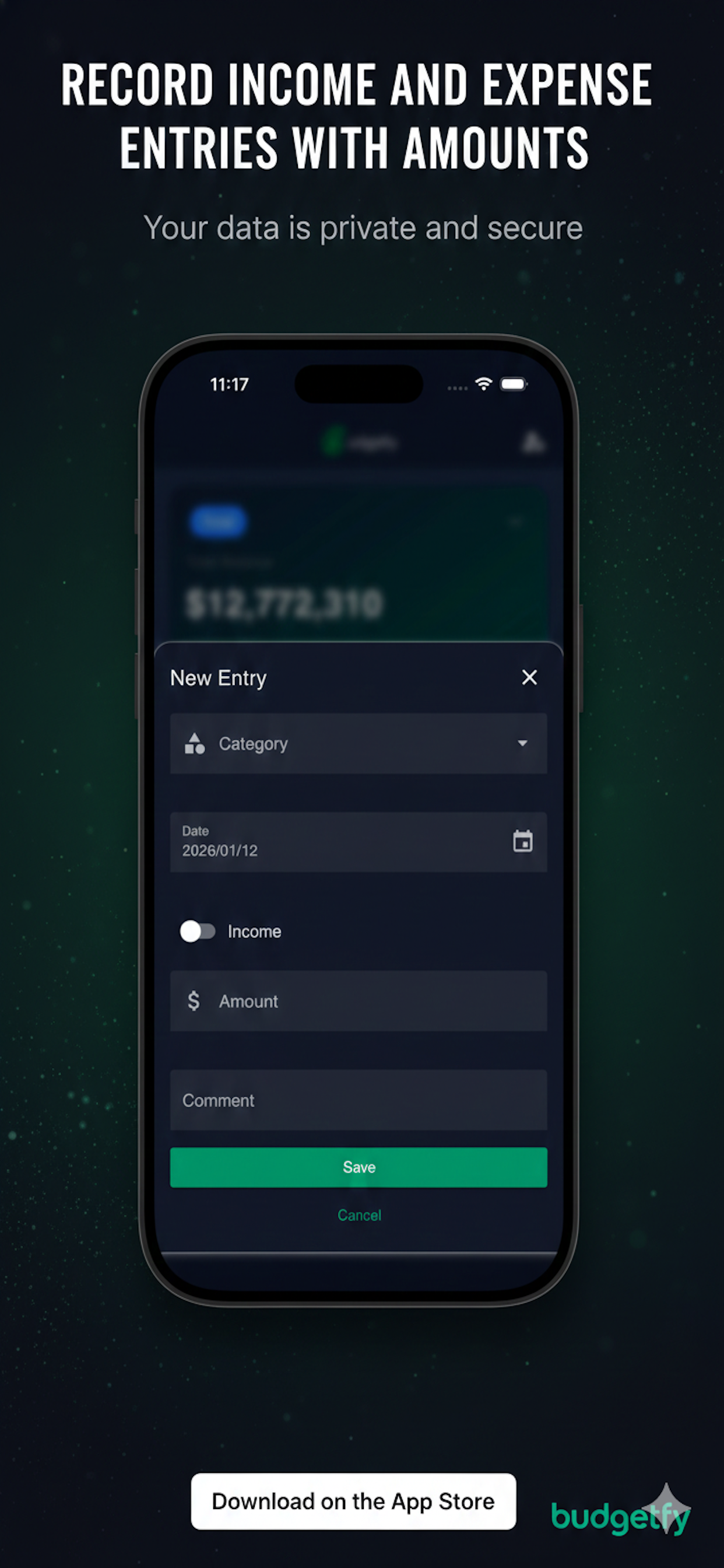 Budgetfy gallery image