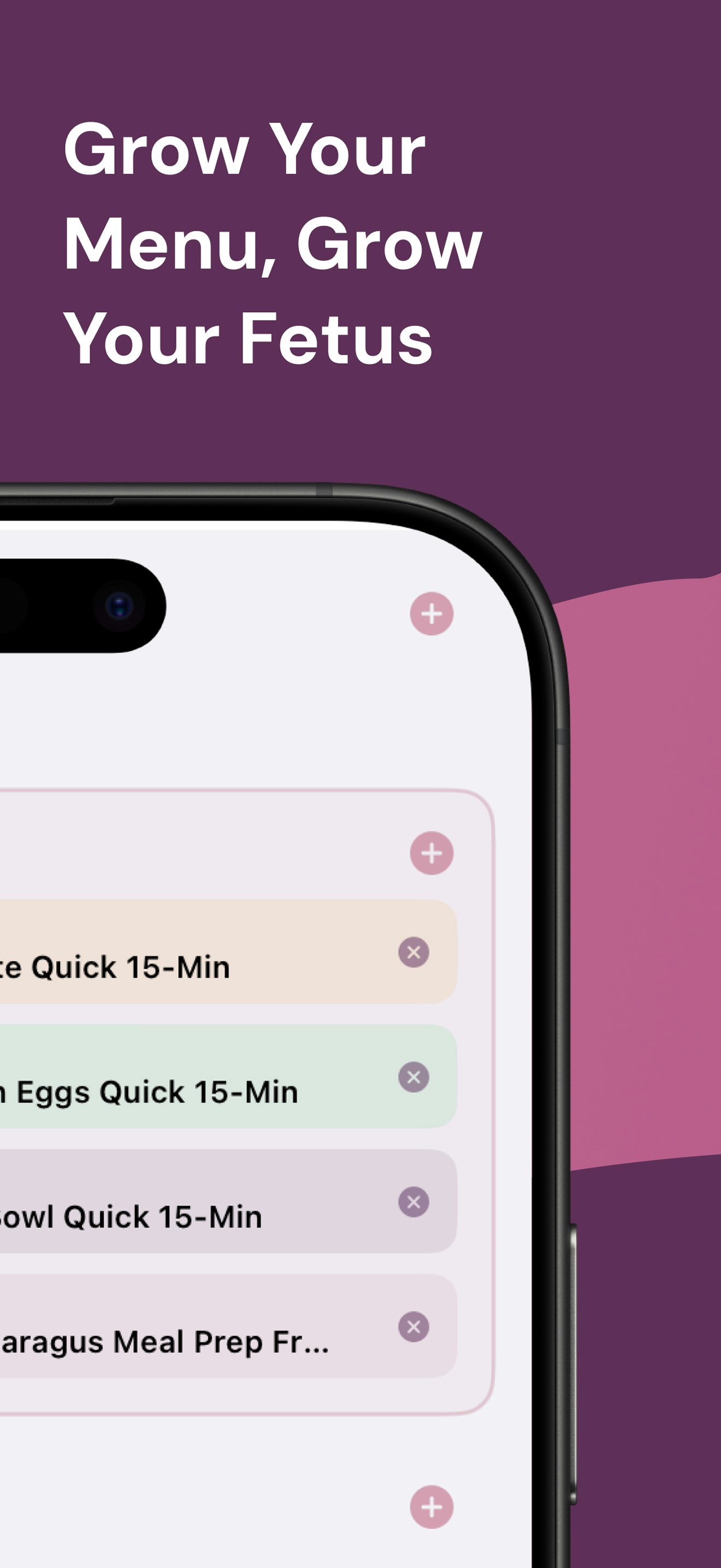 Bump Bites Pregnancy Meal Plan gallery image