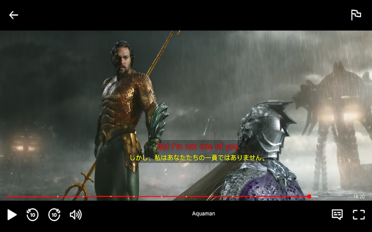 Netflix Subtitle Transtator media 2