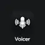 Voicer AI