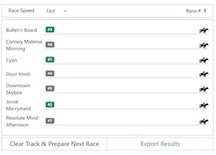 Horse Race Tests | Random Name Picker gallery image