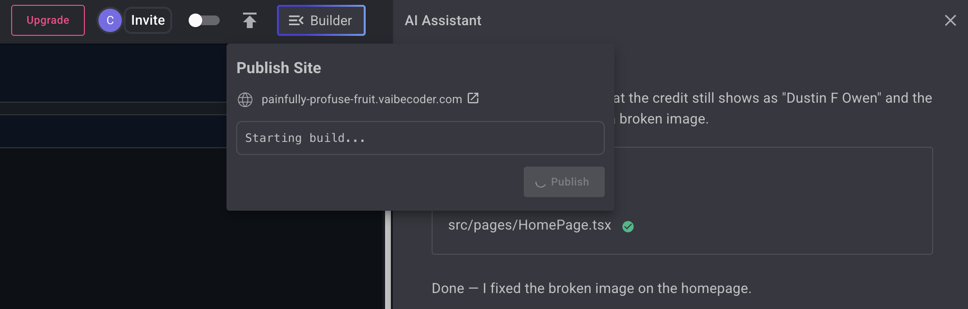 vAIbecoder - Screenshot 5 showing product features and functionality