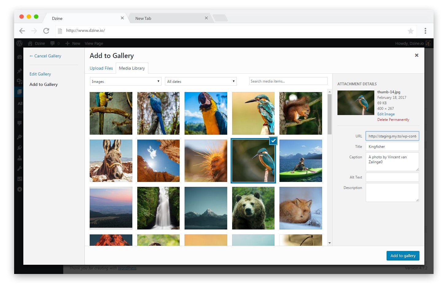 lightGallery WP gallery image