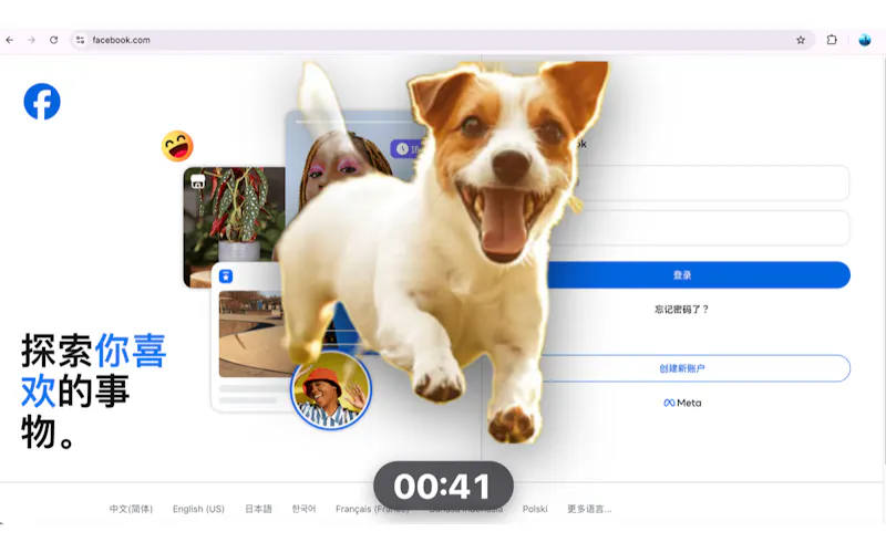 Corgi Guard screenshot 4