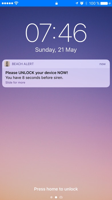 Beach Alert gallery image