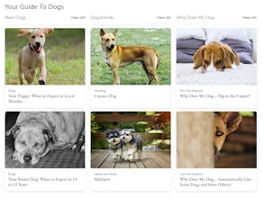 Vetstreet gallery image