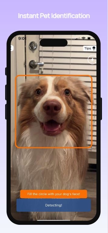 Boopprint media 3