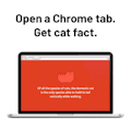 MeowMeowFacts
