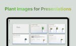 Plant Images for Presentations image