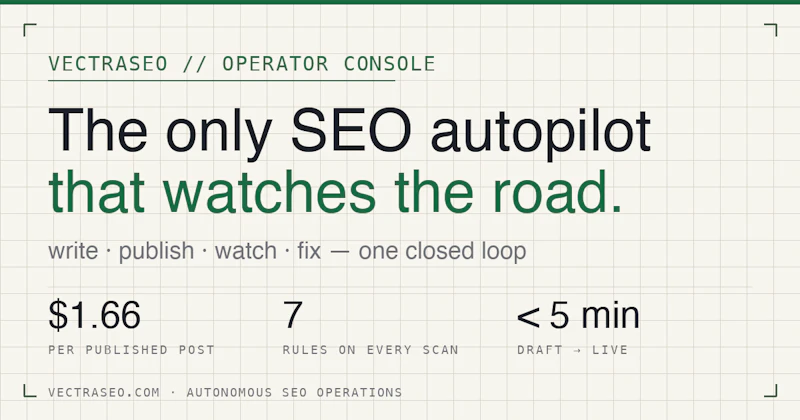 VectraSEO screenshot 2