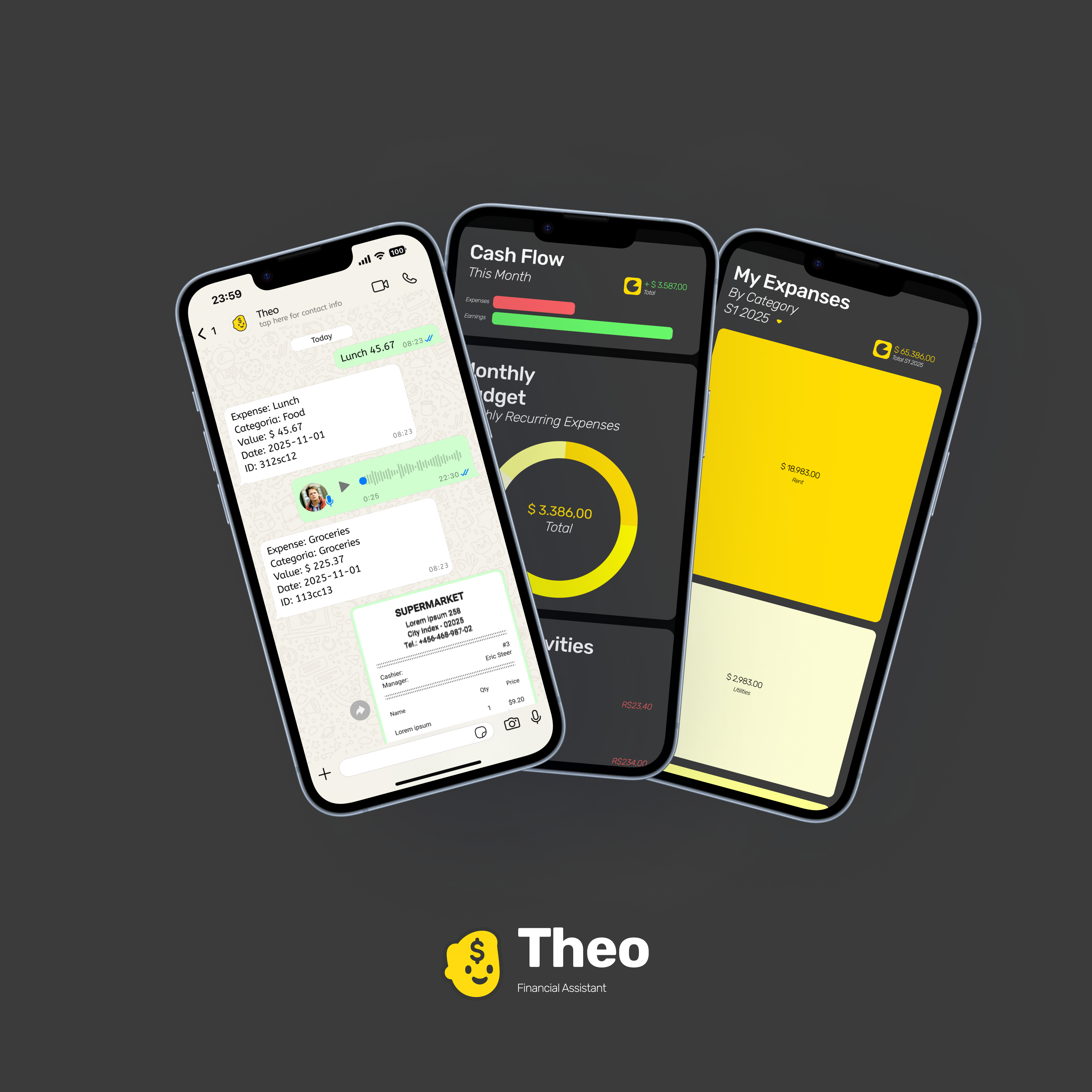 Theo Financial Assistant gallery image