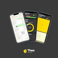 Theo Financial Assistant gallery image