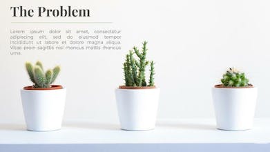 Plant Images for Presentations gallery image