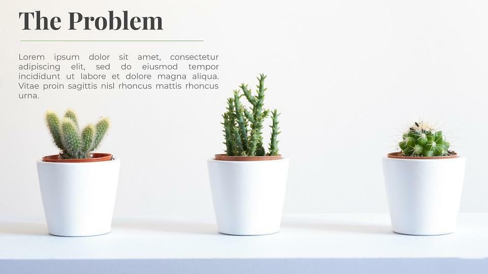 Pflanzenbilder für Präsentationen media 4