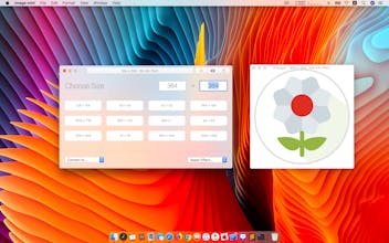 Image mini gallery image