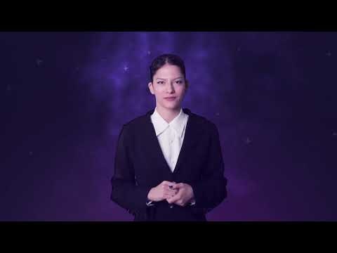 Delfiny AI gallery image