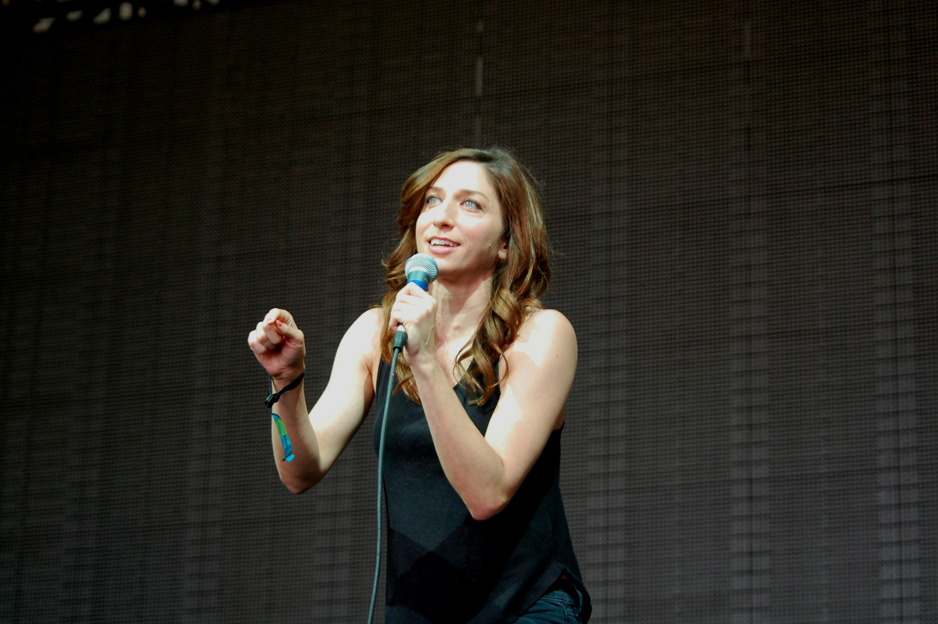 Call Chelsea Peretti: D AS IN DUH gallery image