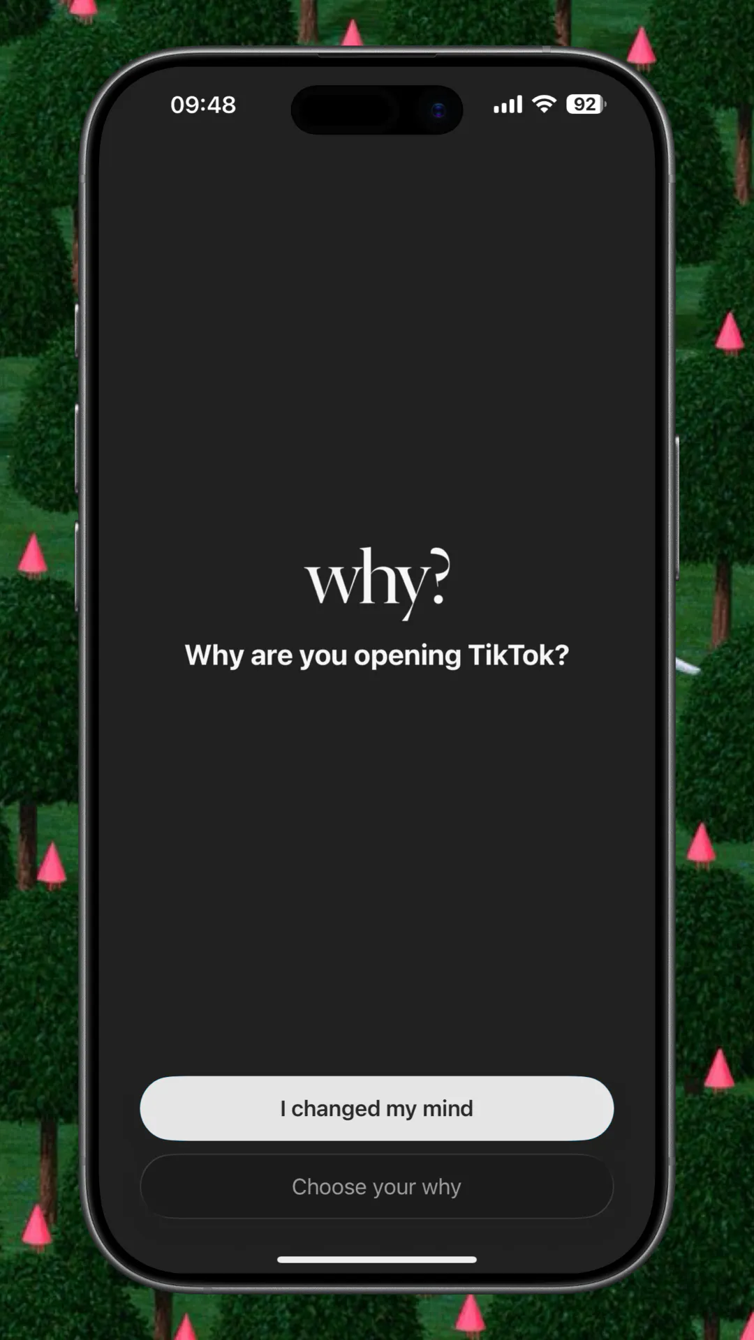 why? gallery image