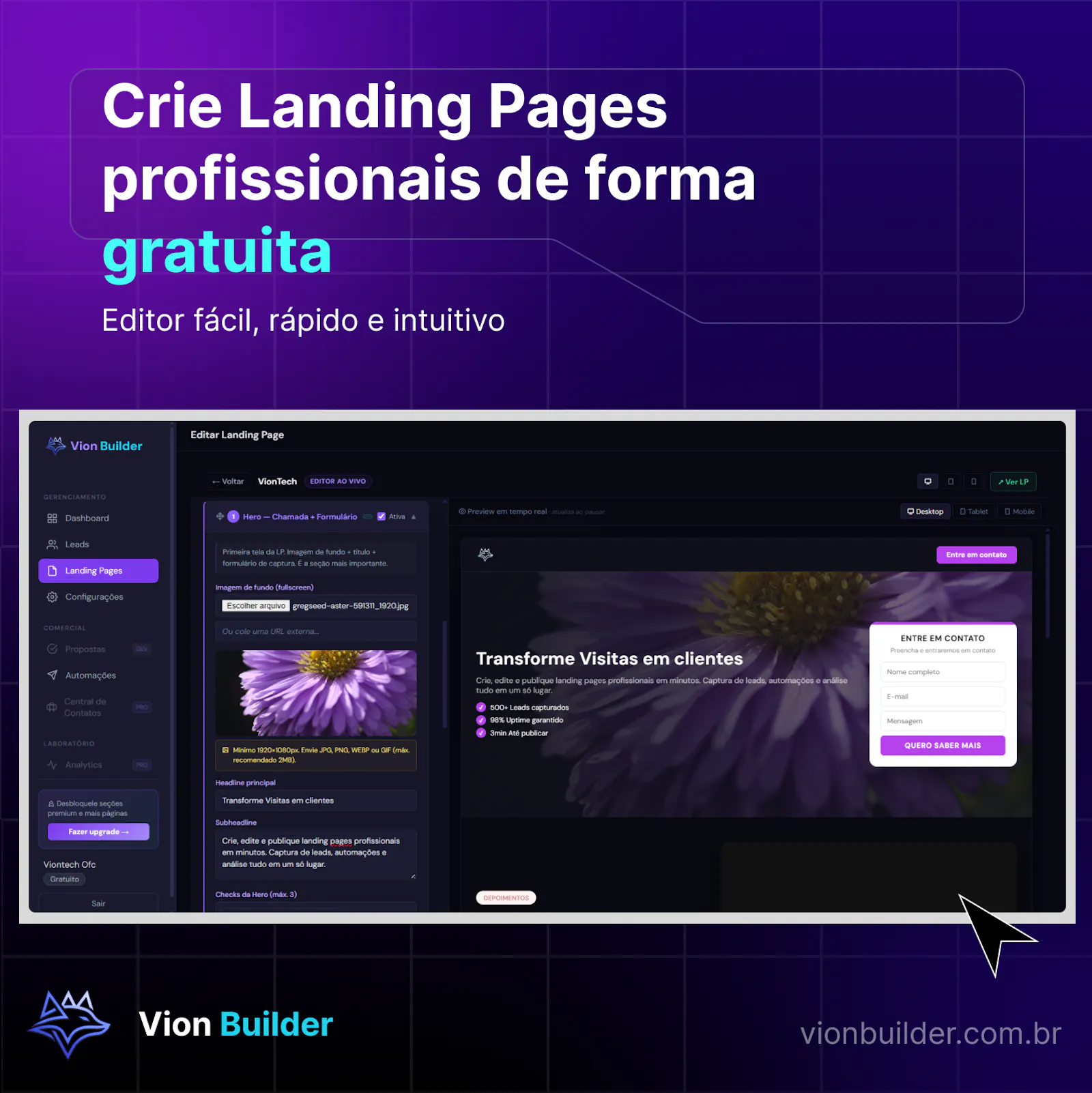 VIonBuilder  screenshot 3