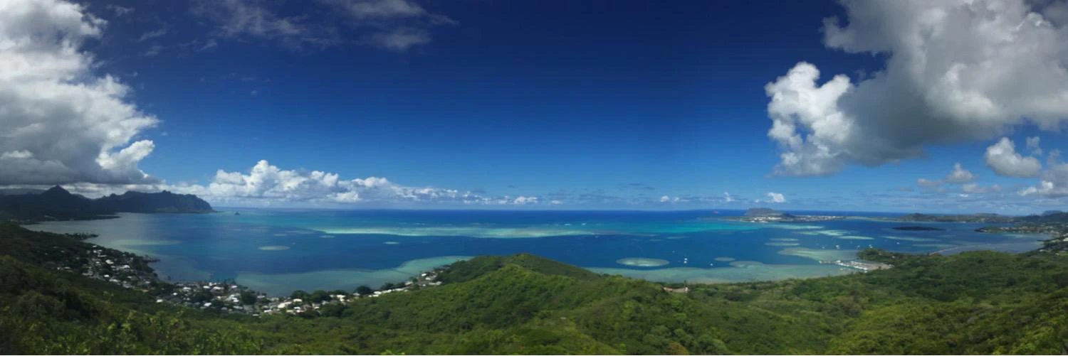 Andrew Verboncouer cover