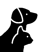 Can Dostun - Product Hunt launch logo and brand identity