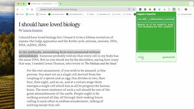 Greenwich gallery image