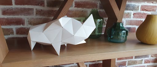 CARAPACES: First DIY Origami 3D Puzzle gallery image