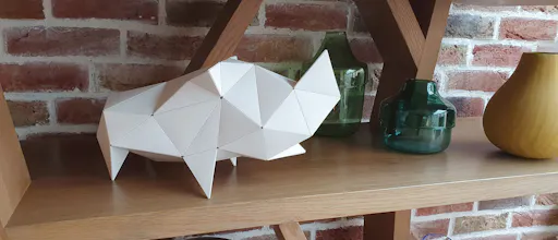 CARAPACES: First DIY Origami 3D Puzzle gallery image