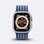 Buckle Striped Nylon Apple Watch Band